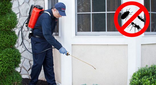 Atabey Hamam Böceği İlaçlama böcek ilaçlama ve haşere kontrolü — ilaclama-tr.com